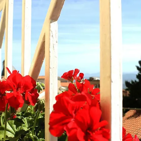 Bed & Breakfast Giaminera Art Studio Baunei